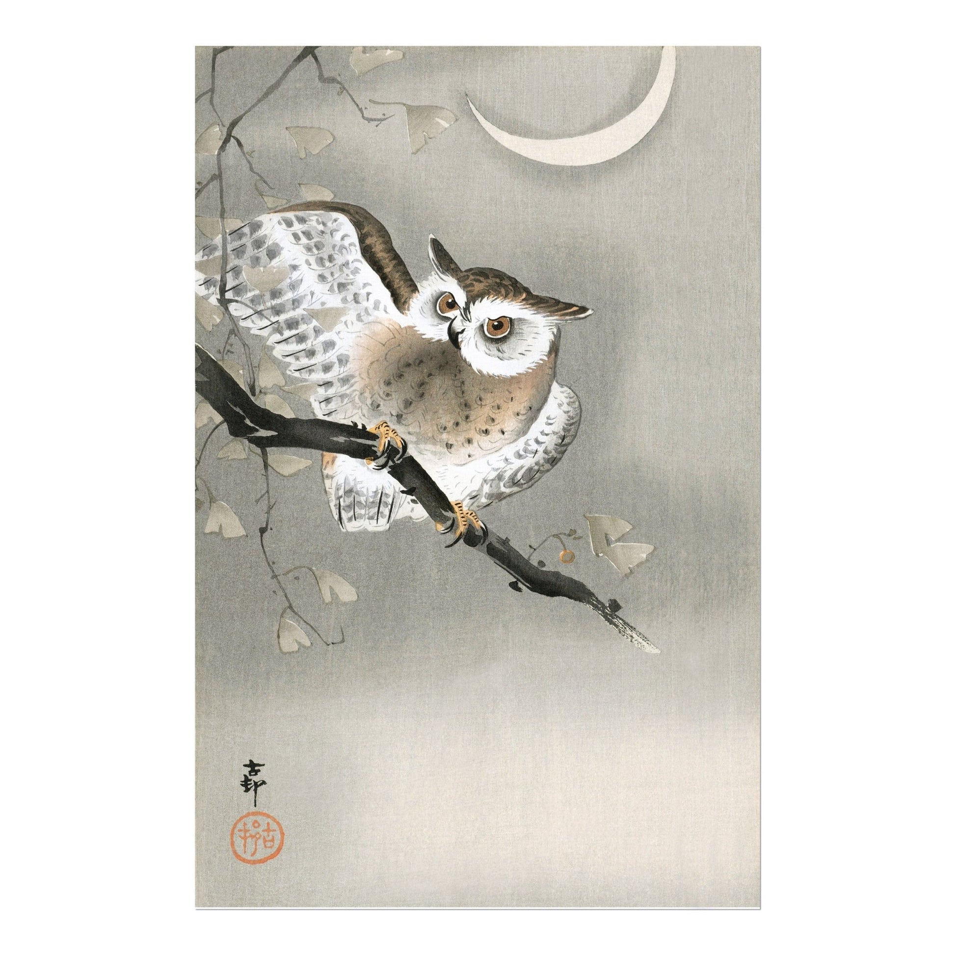 OHARA KOSON - Long Eared Owl in Ginkgo - Pathos Studio - Art Prints