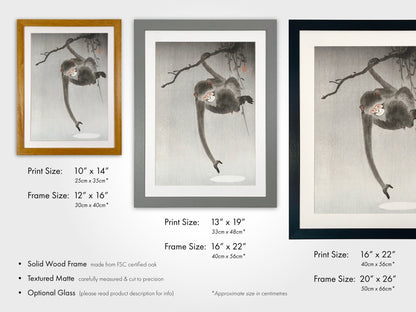 OHARA KOSON - Monkey and Reflection of The Moon - Pathos Studio - Art Prints
