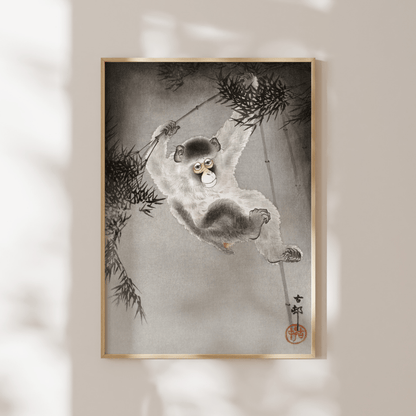 OHARA KOSON - Monkey Hanging From Bamboo Branch - Pathos Studio - Art Prints