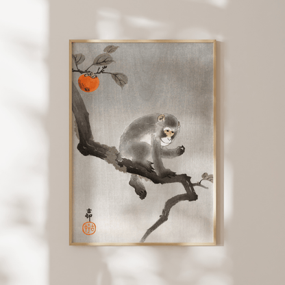 OHARA KOSON - Monkey in Cockatoo - Pathos Studio - Art Prints
