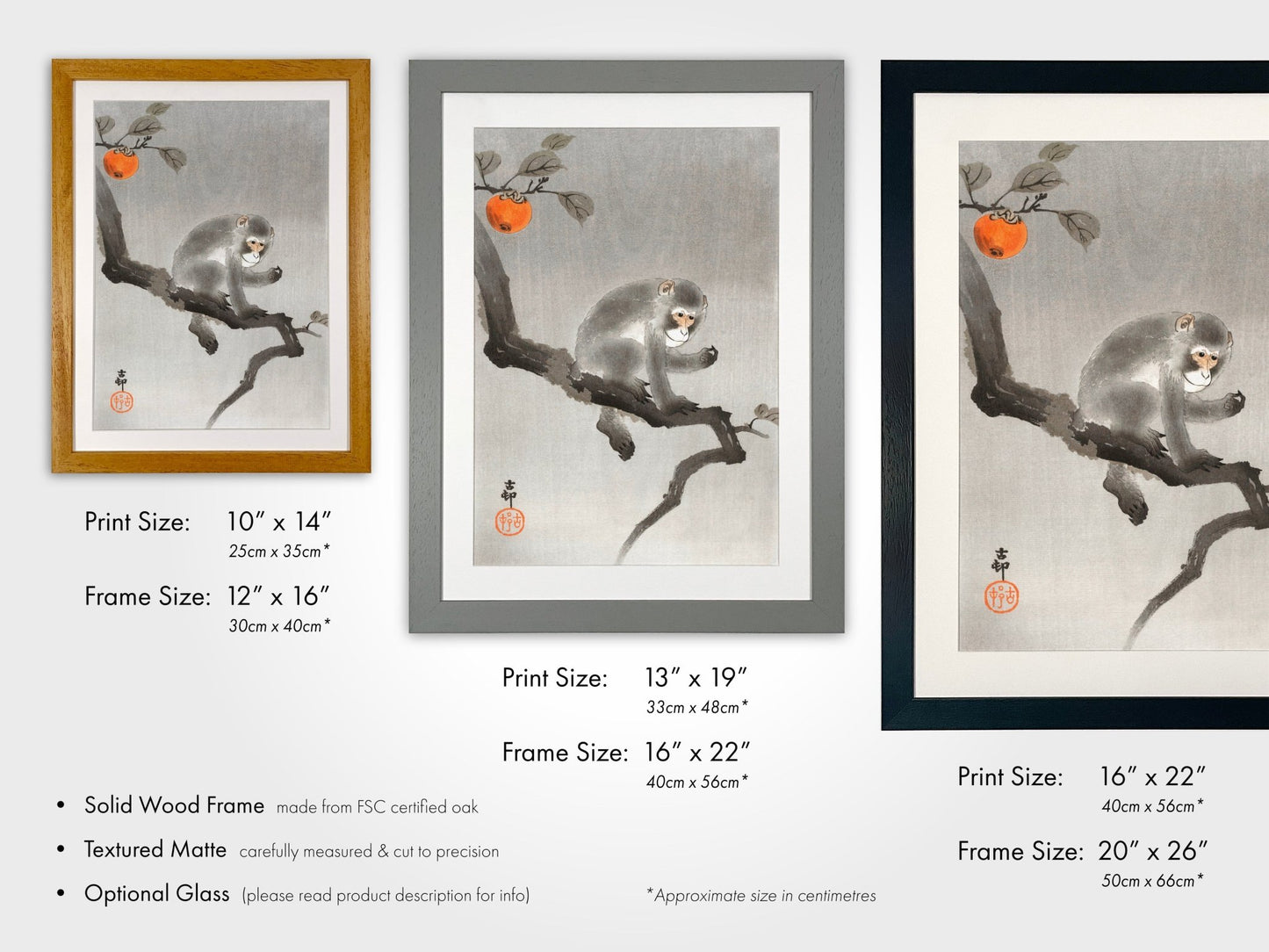 OHARA KOSON - Monkey in Cockatoo - Pathos Studio - Art Prints