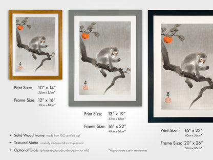 OHARA KOSON - Monkey in Cockatoo - Pathos Studio - Art Prints
