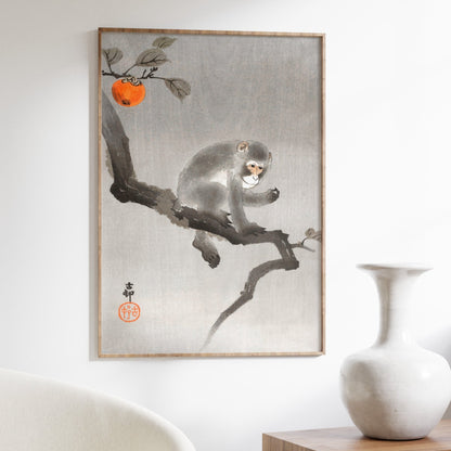 OHARA KOSON - Monkey in Cockatoo - Pathos Studio - Art Prints