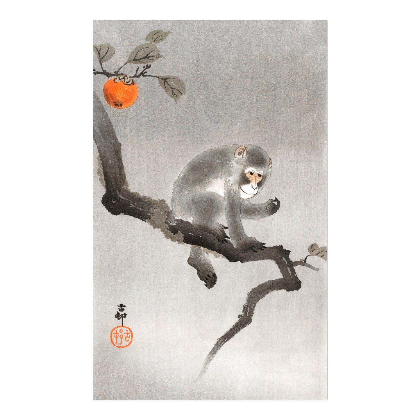 OHARA KOSON - Monkey in Cockatoo - Pathos Studio - Art Prints