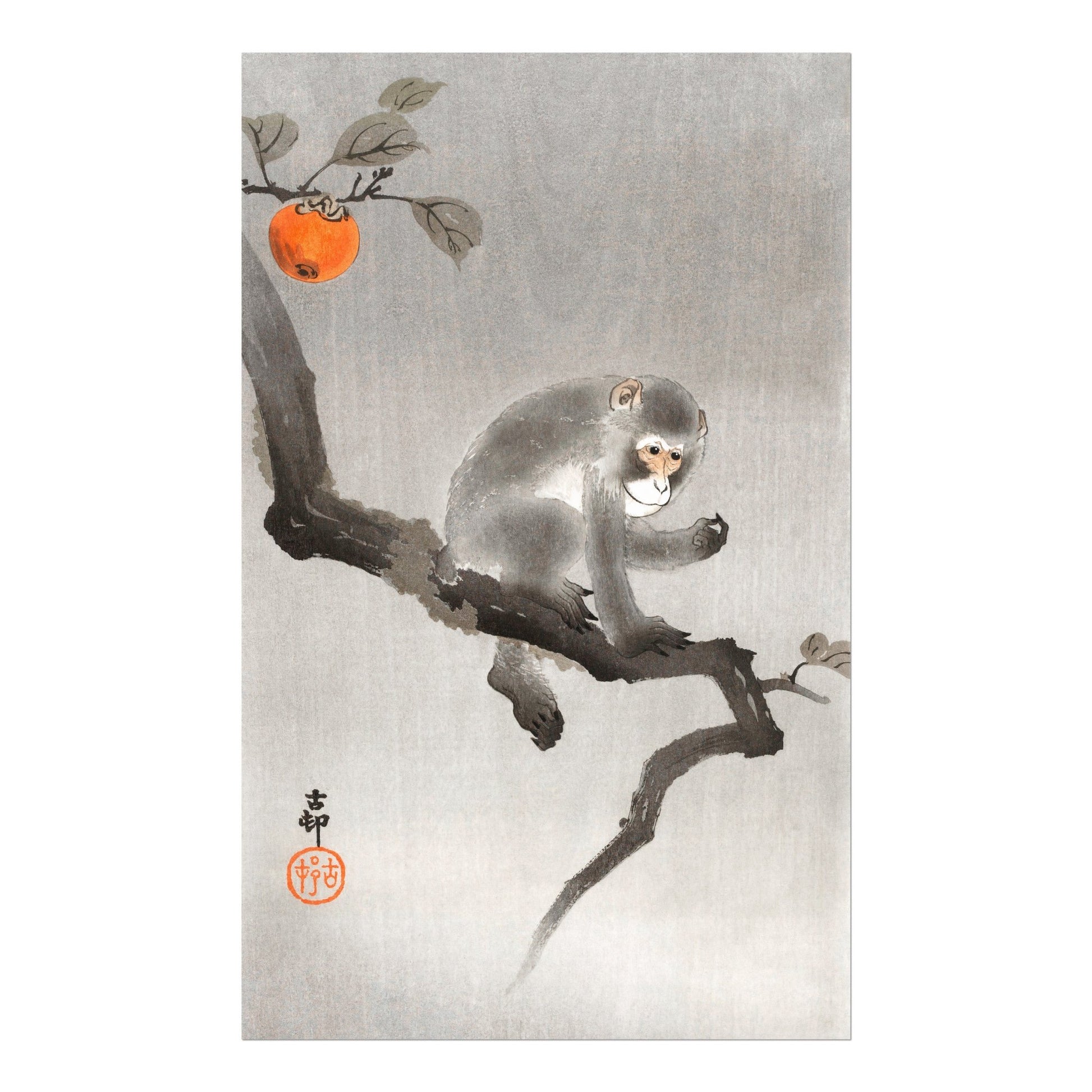 OHARA KOSON - Monkey in Cockatoo - Pathos Studio - Art Prints