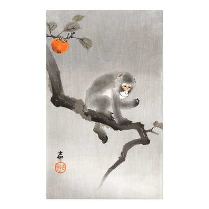 OHARA KOSON - Monkey in Cockatoo - Pathos Studio - Art Prints