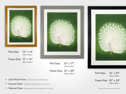 OHARA KOSON - Peacock - Pathos Studio - Art Prints