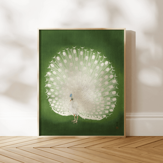 OHARA KOSON - Peacock - Pathos Studio - Art Prints