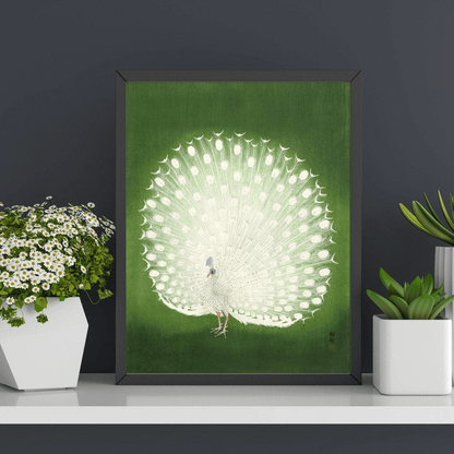 OHARA KOSON - Peacock - Pathos Studio - Art Prints