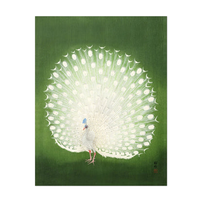 Pfau