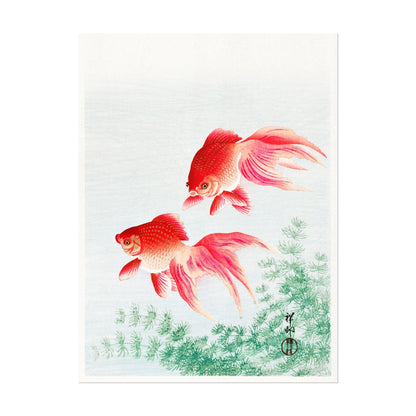 OHARA KOSON - Two Goldfish - Pathos Studio - Art Prints
