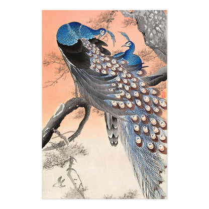 OHARA KOSON - Two Peacocks on Tree Branch - Pathos Studio - Art Prints