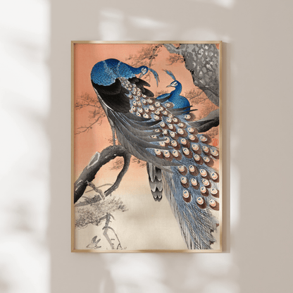 OHARA KOSON - Two Peacocks on Tree Branch - Pathos Studio - Art Prints