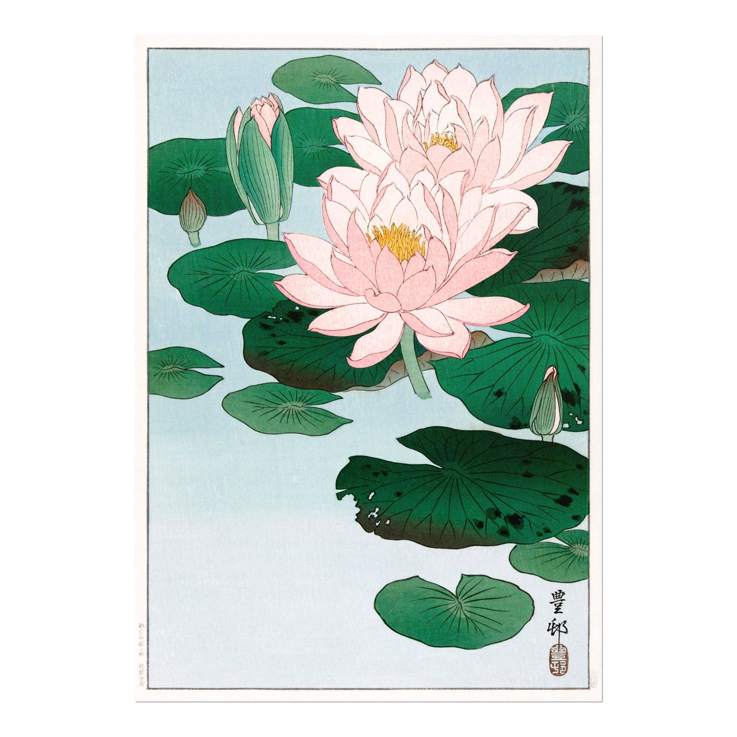 OHARA KOSON - Water Lily - Pathos Studio - Art Prints