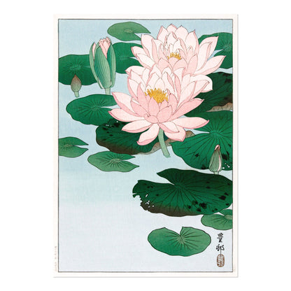 OHARA KOSON - Water Lily - Pathos Studio - Art Prints