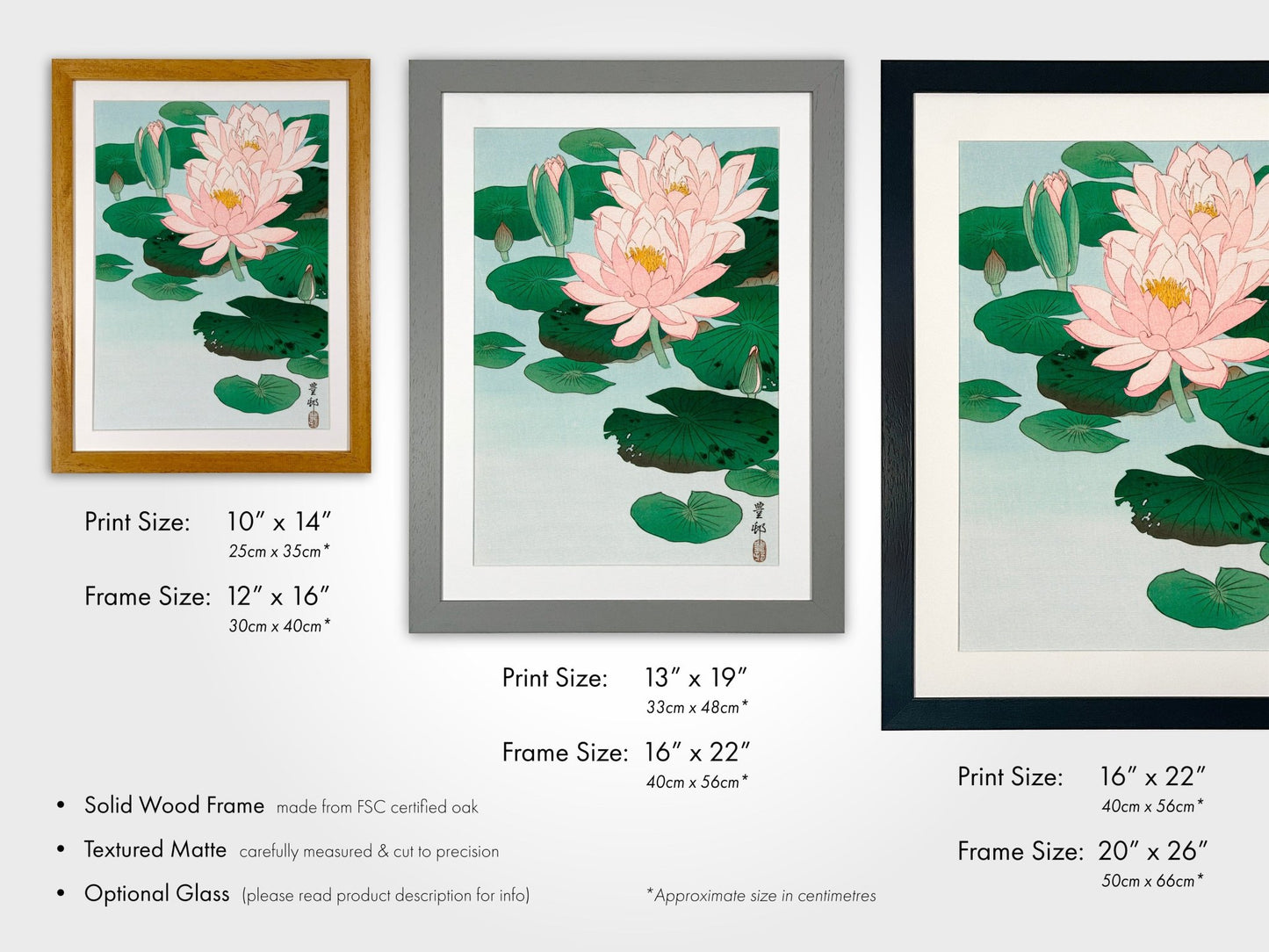 OHARA KOSON - Water Lily - Pathos Studio - Art Prints