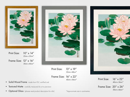 OHARA KOSON - Water Lily - Pathos Studio - Art Prints