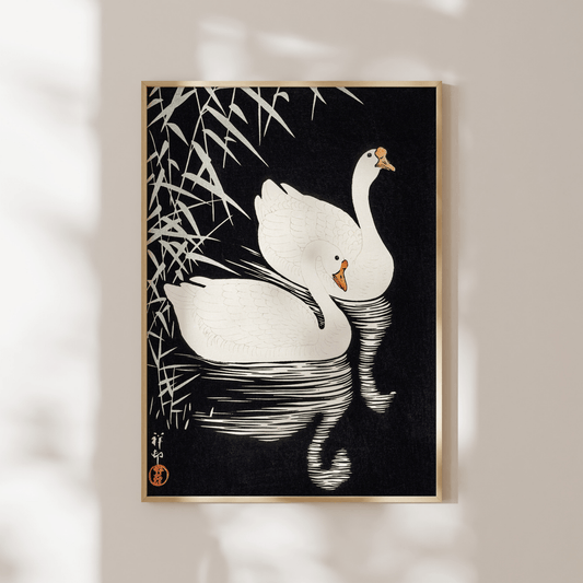 OHARA KOSON - White Chinese Geese Swimming by Reeds - Pathos Studio - Art Prints