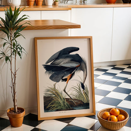 Set of 3 'Birds Of America' Prints by John James Audubon - Pathos Studio - Art Print Sets