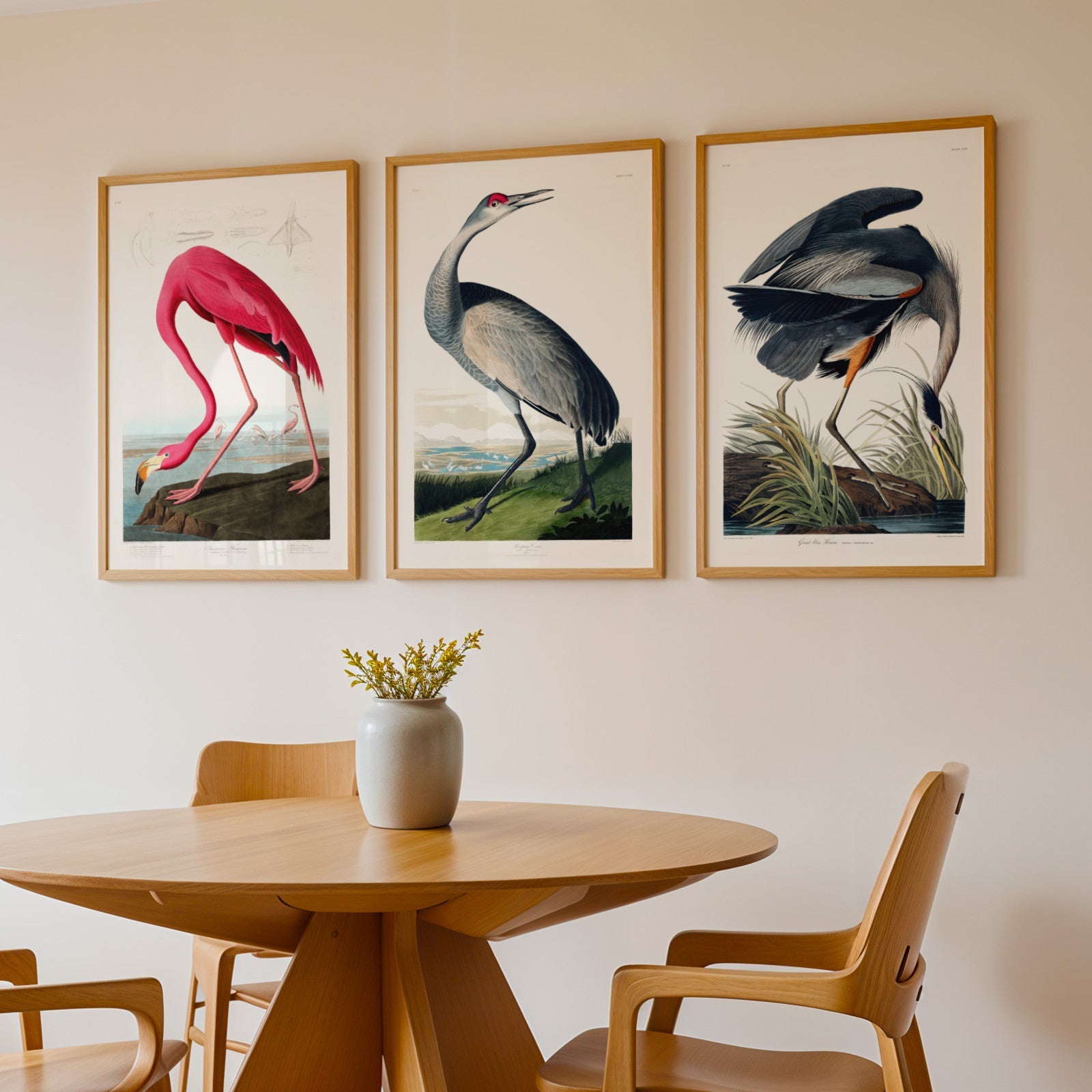 Set of 3 'Birds Of America' Prints by John James Audubon - Pathos Studio - Art Print Sets