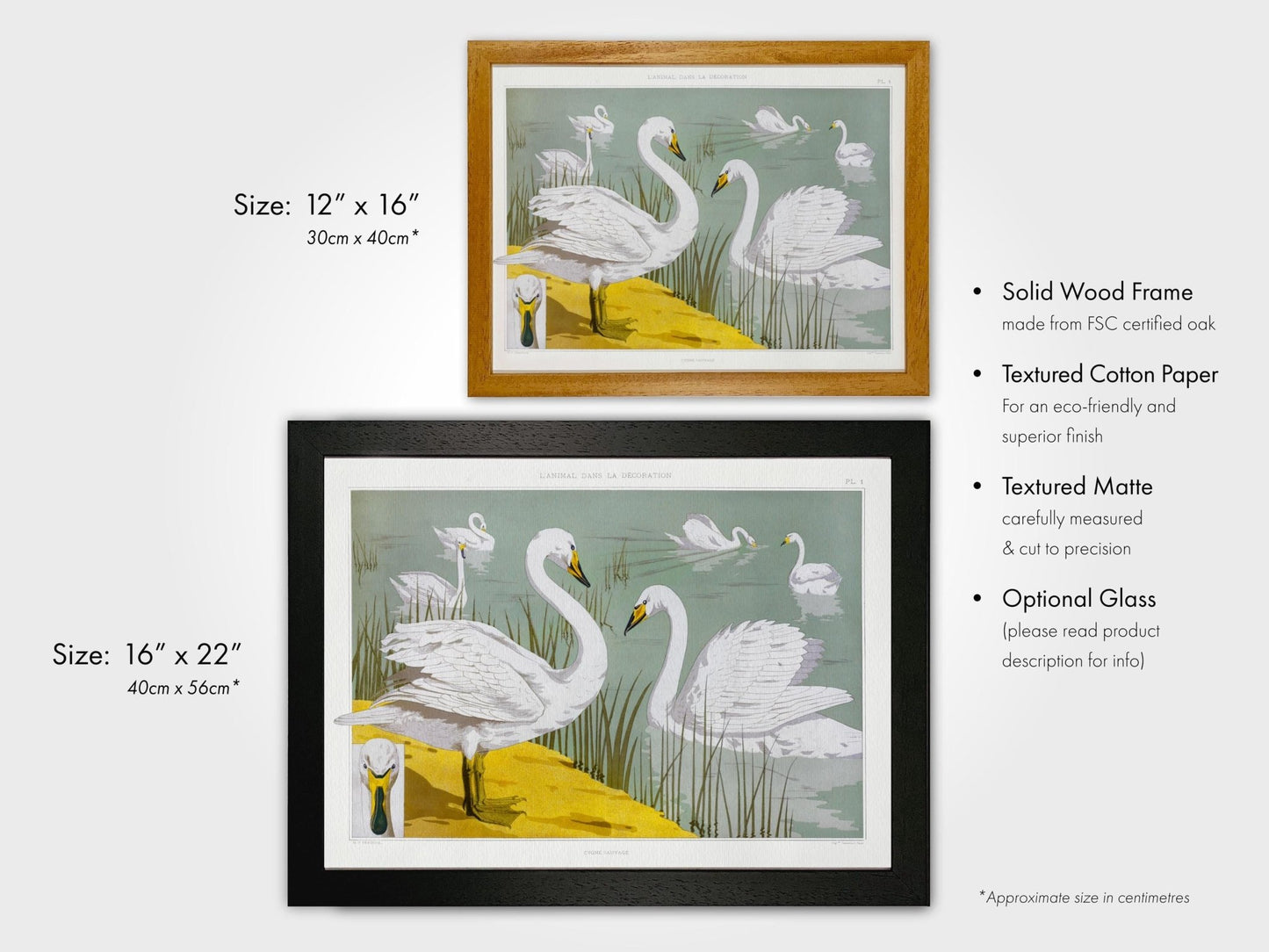 Swans from 'L'animal Dans La Décoration’ by Maurice Verneuil - Pathos Studio - Art Prints