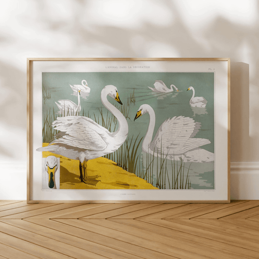 Swans from 'L'animal Dans La Décoration’ by Maurice Verneuil - Pathos Studio - Art Prints