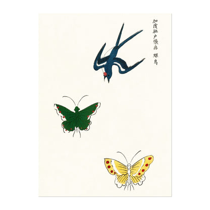 Swallow & Butterflies