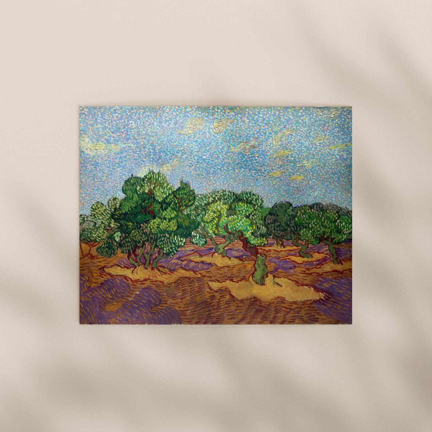 Vincent Van Gogh - Olive Trees | Art Prints | Pathos Studio