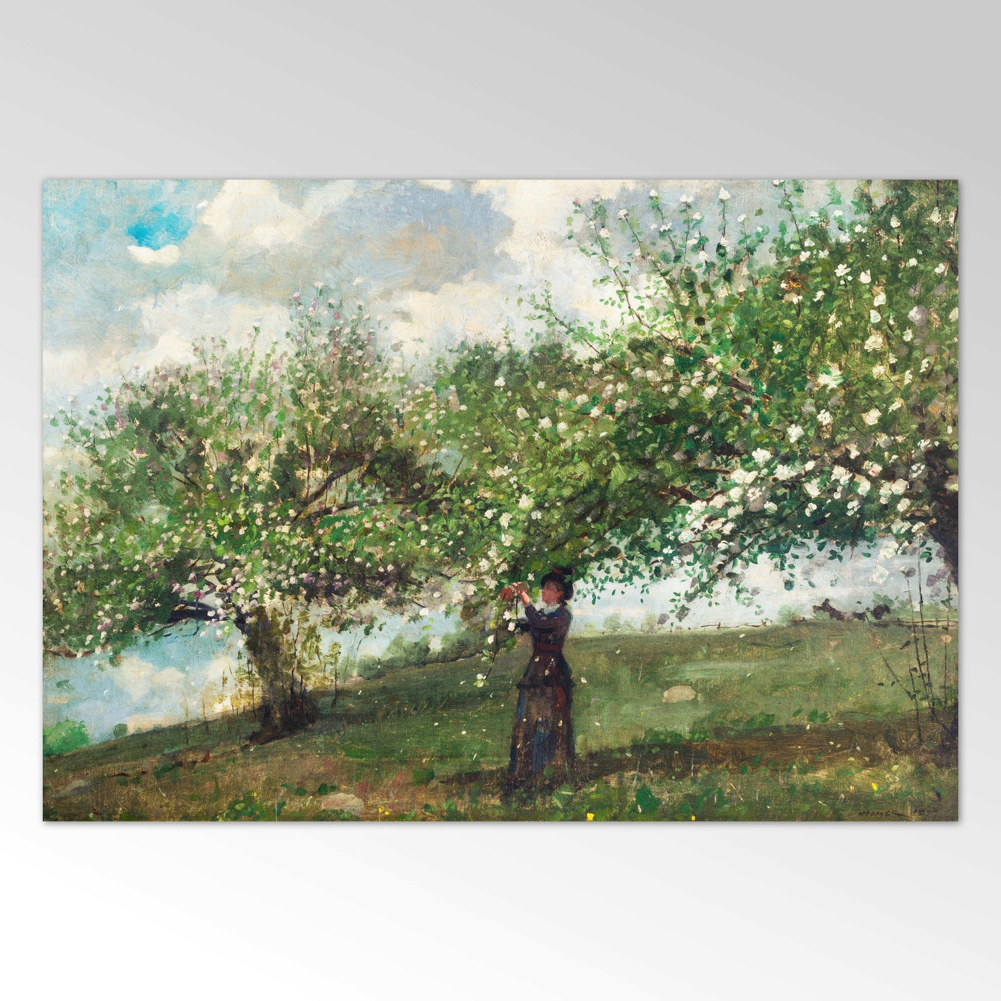 Girl Picking Apple Blossoms