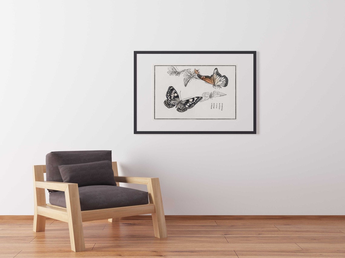 Schmetterlinge Illustration