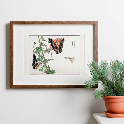 Schmetterlinge und Pflanzenillustration