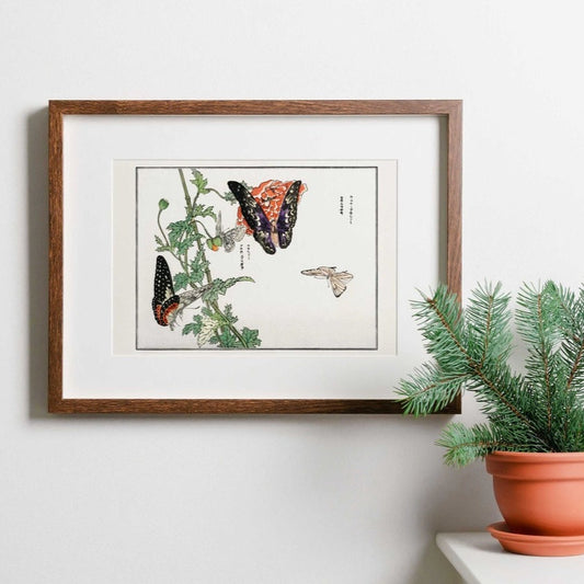 Schmetterlinge und Pflanzenillustration