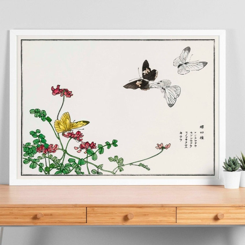 Butterflies and Flower Illustration