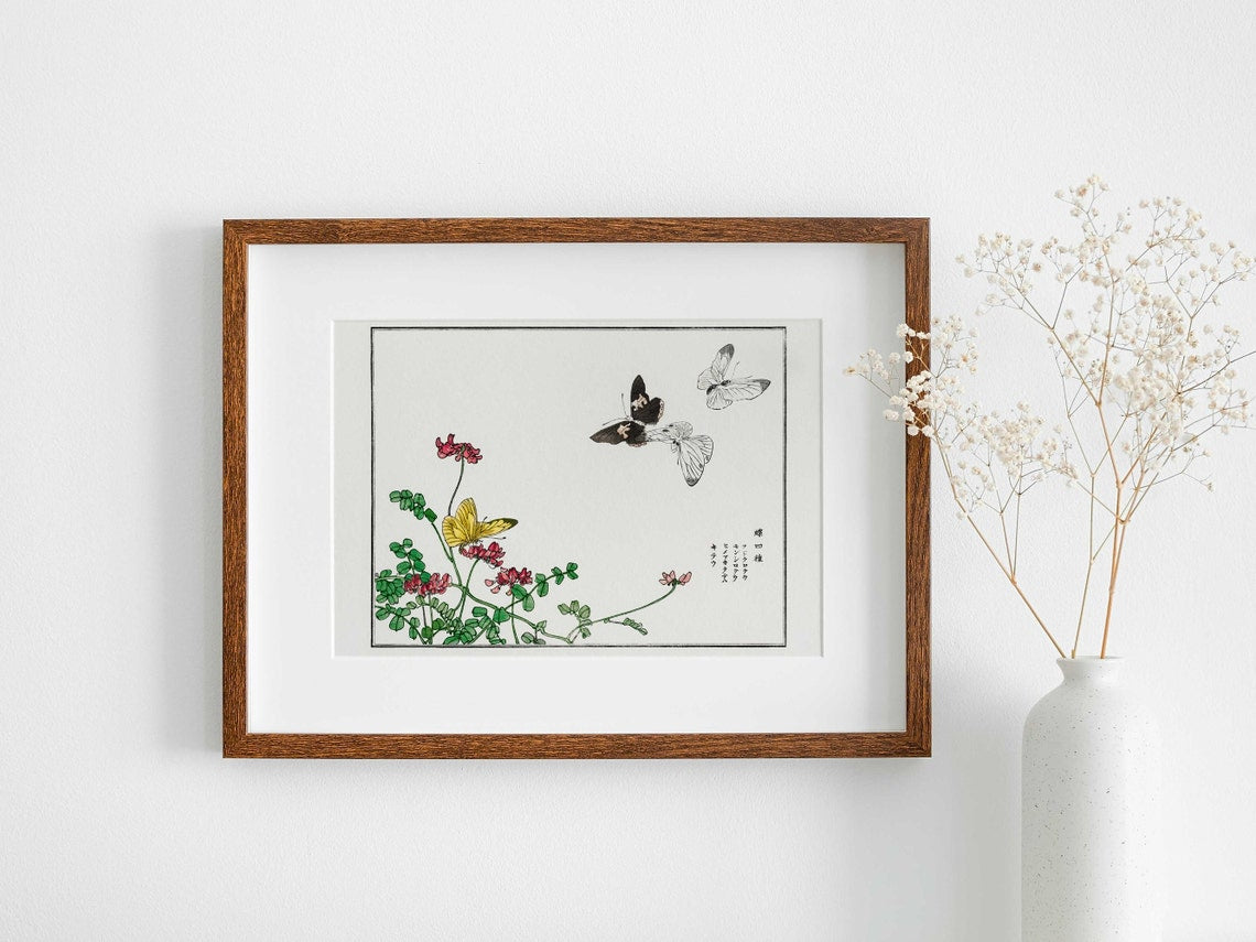Butterflies and Flower Illustration
