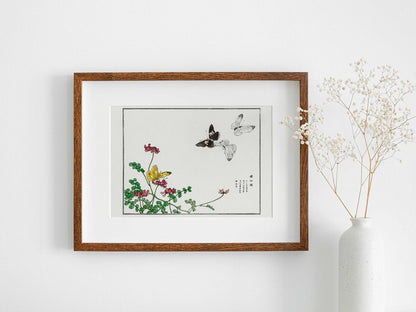 Butterflies and Flower Illustration