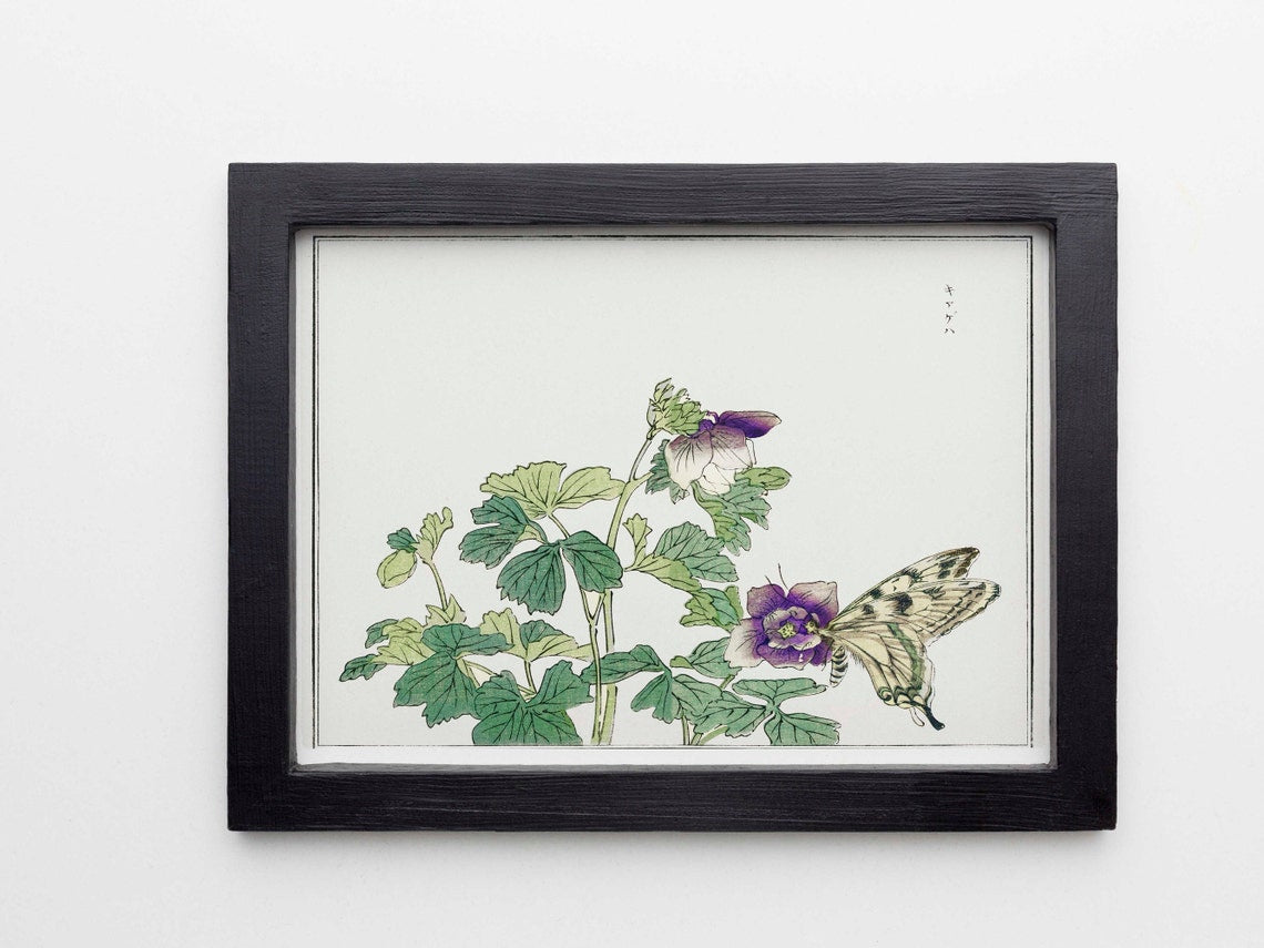 Schmetterling mit Blume