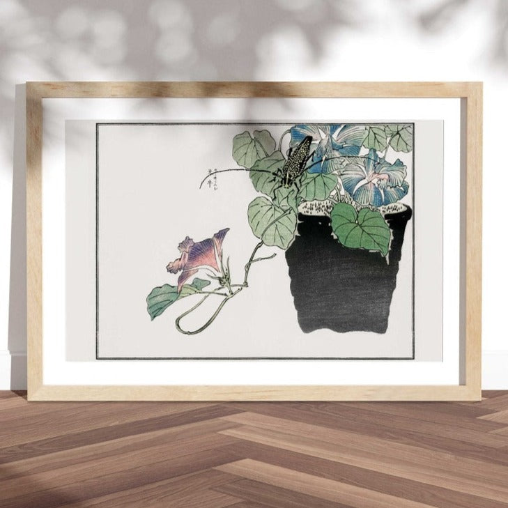 Japanischer Papierschneiderkäfer