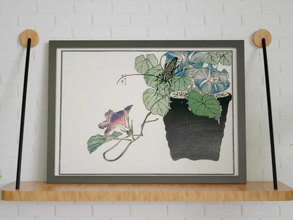 Japanischer Papierschneiderkäfer