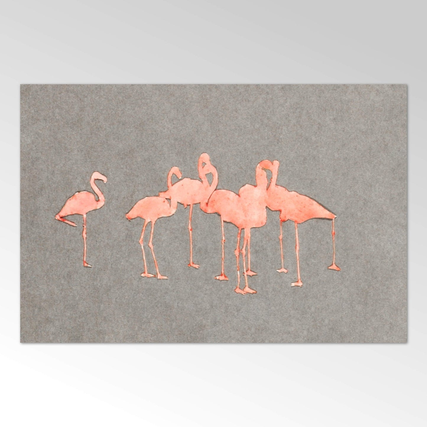 Flamingos