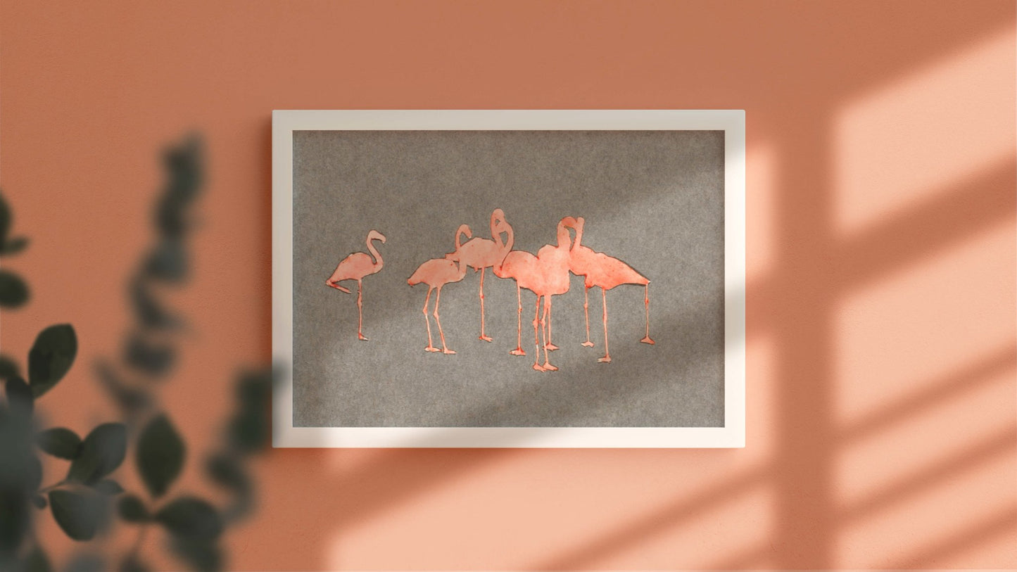 Flamingos
