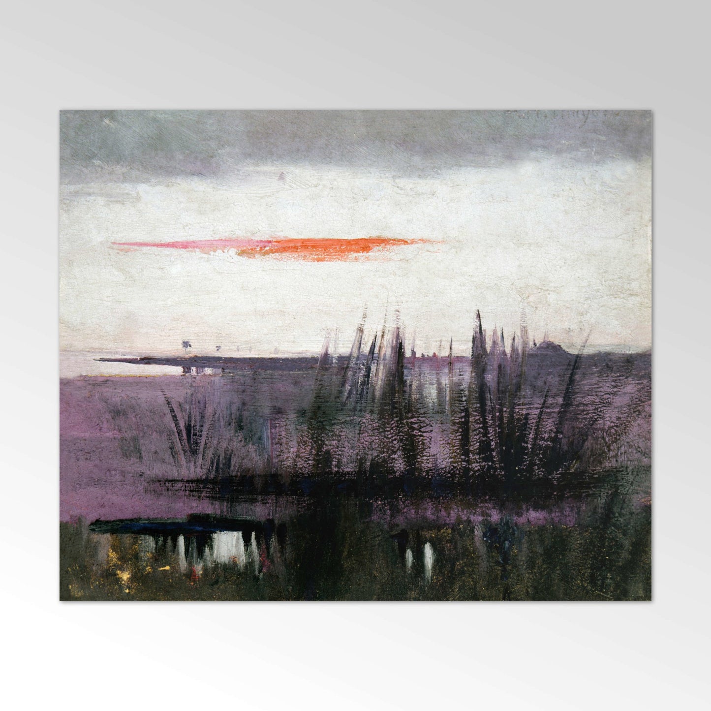 The Sky Simulated by White Flamingoes