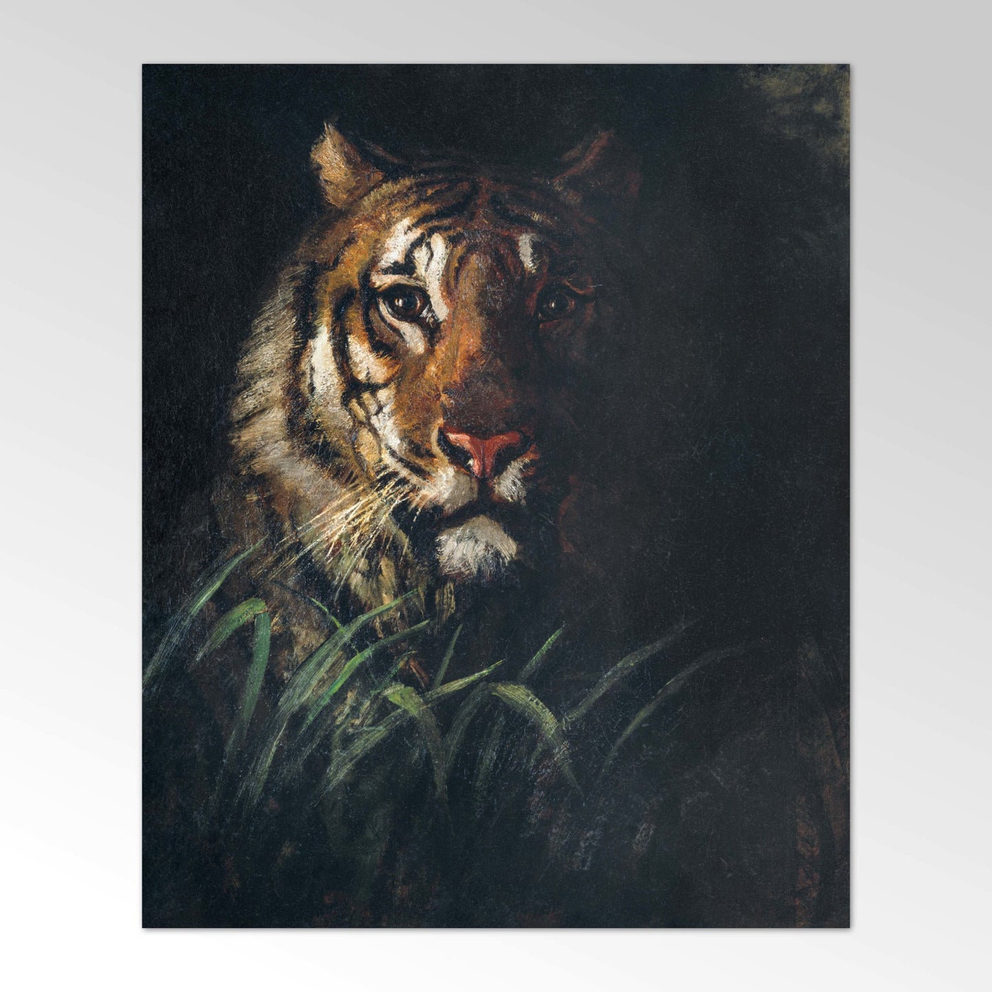 Tigerkopf