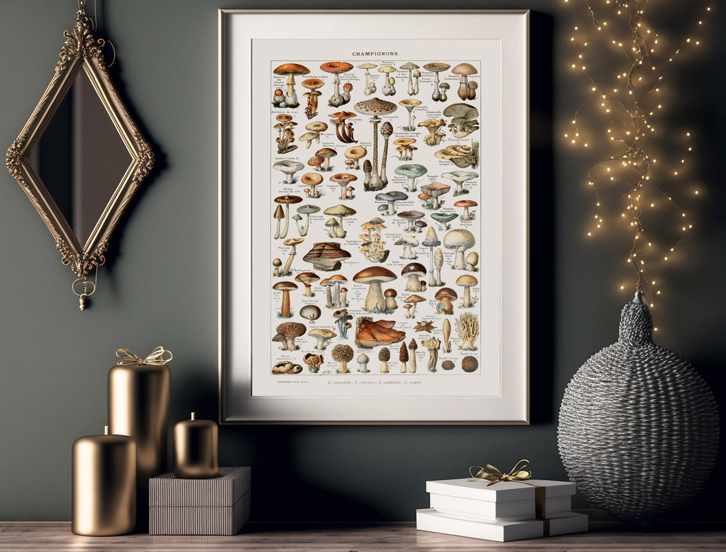 Champignons (Pilze)