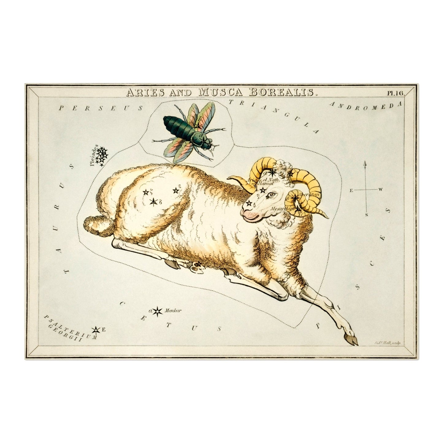 Aries Zodiac Sign: Constellation of a Ram