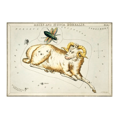 Aries Zodiac Sign: Constellation of a Ram