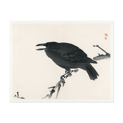 BAIREI GAKAN - Crow - Pathos Studio -