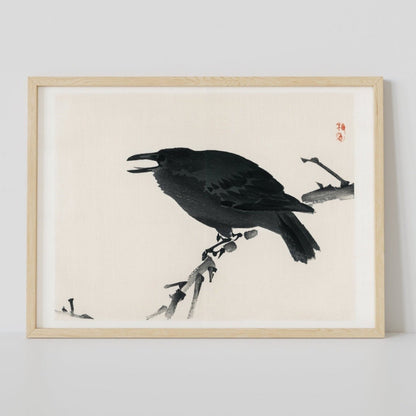 BAIREI GAKAN - Crow - Pathos Studio -