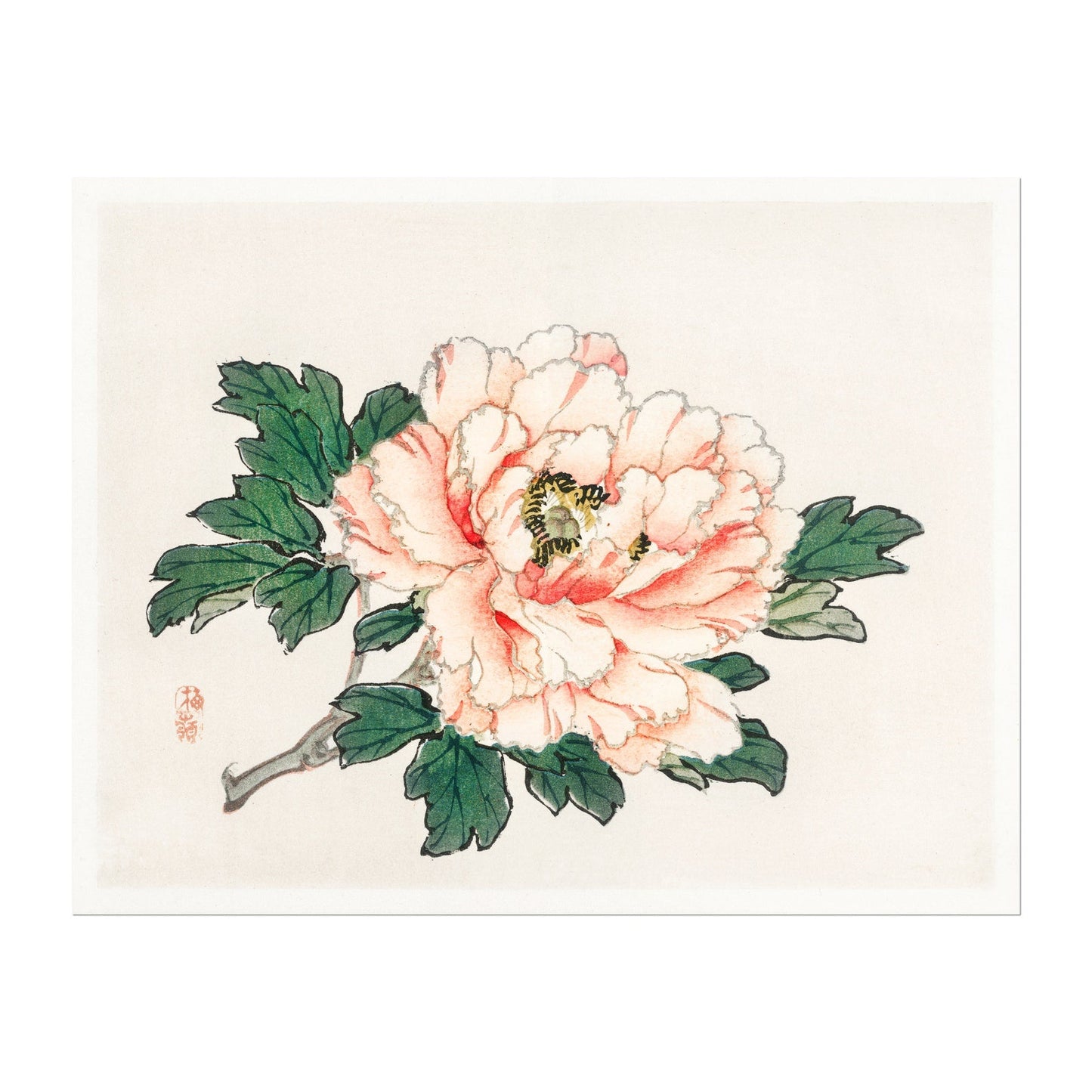 BAIREI GAKAN - Pink Rose - Pathos Studio -