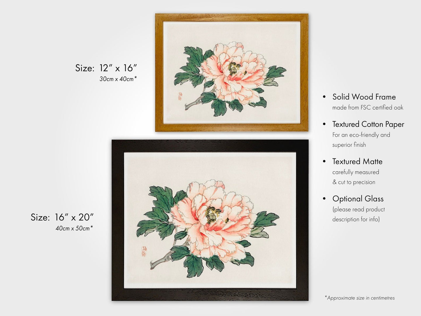BAIREI GAKAN - Pink Rose - Pathos Studio -