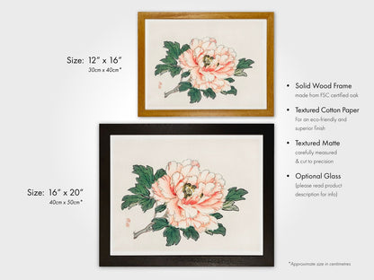 BAIREI GAKAN - Pink Rose - Pathos Studio -